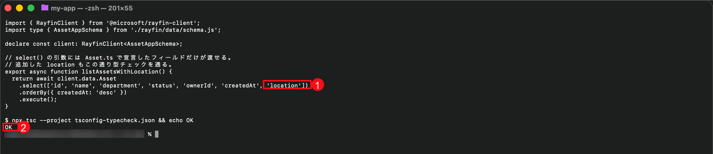 RayfinClientの型チェックに成功.png